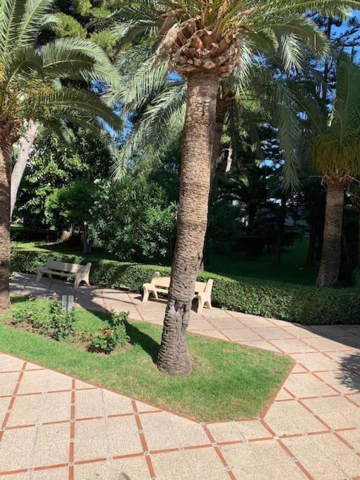 Parque Ii Appartement *